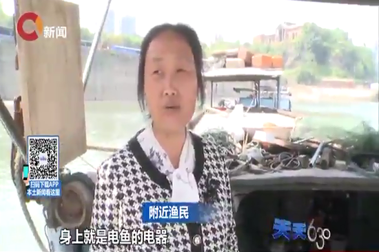 电网捕鱼高危违法