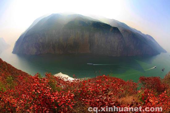长江三峡沿线的红叶。新华网发
