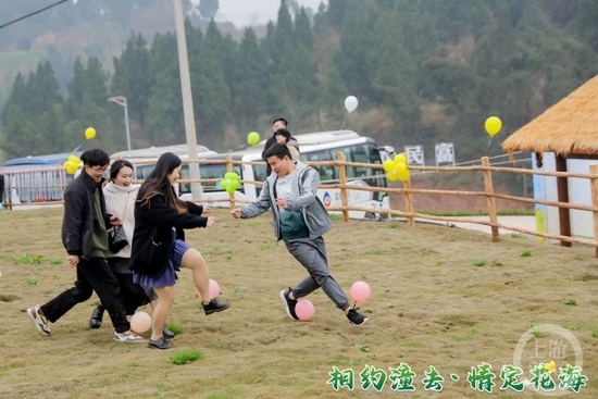 百余川渝单身青年油菜花田“找对象”