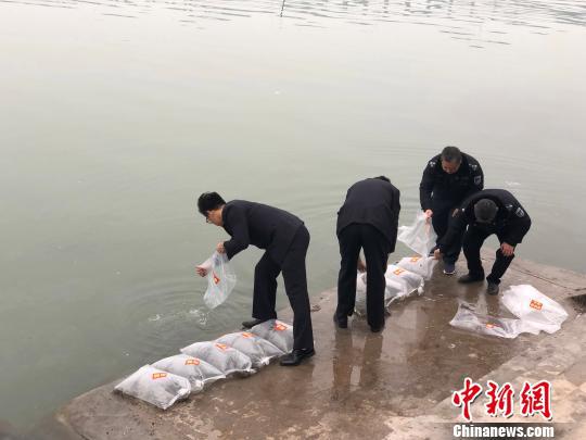 资料图为检察官在重庆全市检察机关渔业生态修复示范基地放养鱼苗。 刘相琳 摄