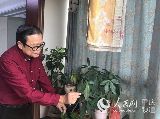 傅钟毅老人在家打理花草。胡虹 摄