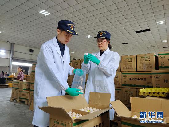 重庆海关工作人员进行鲜鸡蛋出口查验作业。新华网发(重庆海关 供图)
