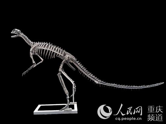  ĥϪϿװģ͡еʵԺͼ