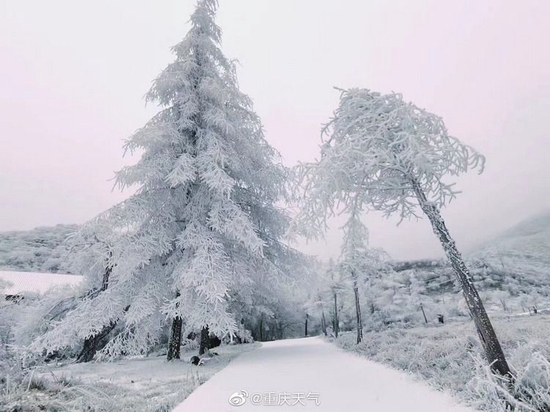 ▲城口县黄安坝景区雪景