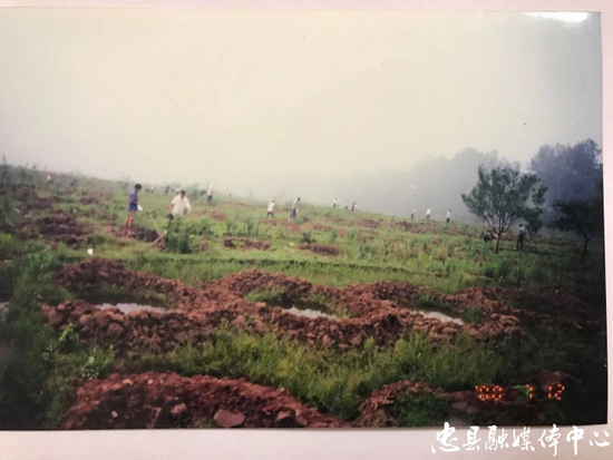 图二:拍摄于2000年的涂井乡友谊村种植柑橘树前的情景。