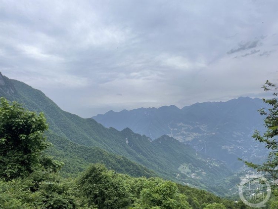 ▲在五里坡观景平台俯瞰,是这番景色。