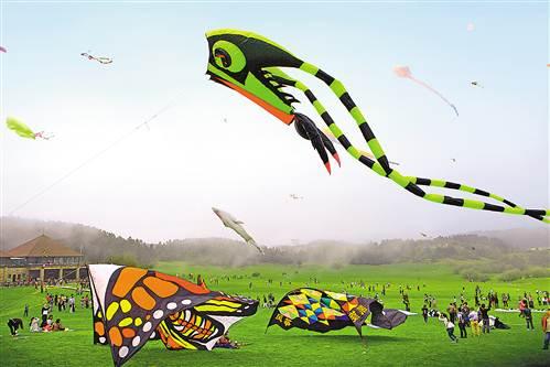 潼南gdp_重庆经济增长中的 潼南现象 手机新浪网(3)