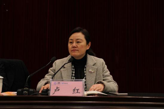 卢红任重庆武隆县县委副书记并提名县长候选人