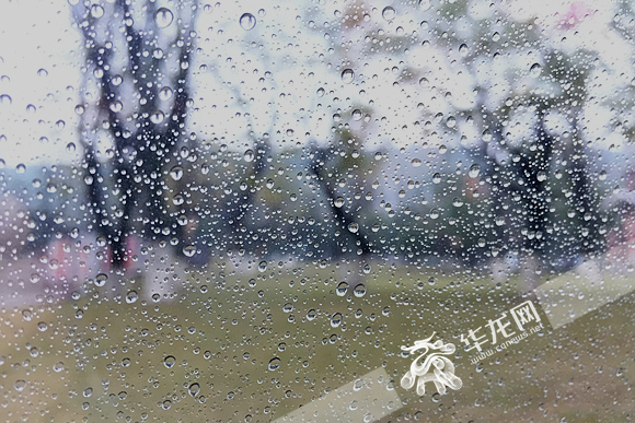 清晨雨水如约而至。记者 李裕锟 摄