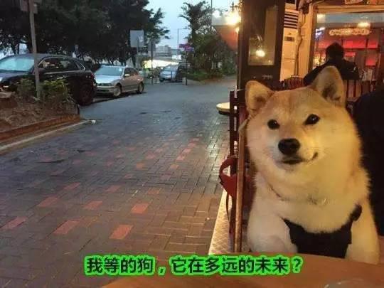 看到这里
