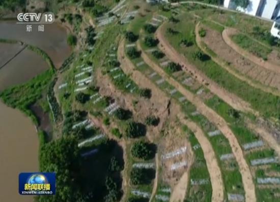 现在,石堰村130户贫困户,已经脱贫122户,将争取尽快全部脱贫致富。