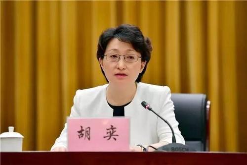 重庆最新人事:胡奕同志任九龙坡区委书记