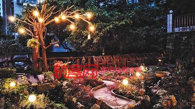80后摄影师“海盗王基德”花了半年时间,将父亲家门前的荒地重新打造成奇幻花园
