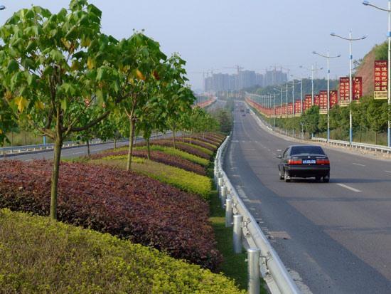 华福路通车12年,由于路面洼凼导致驾驶体验不好,很多驾驶员戏谑地称之为“搓衣板”路。