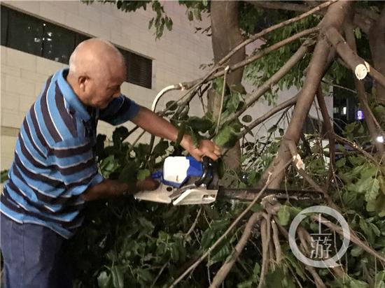 雷雨大风刮伤4000多棵树木 绿化工人深夜给树