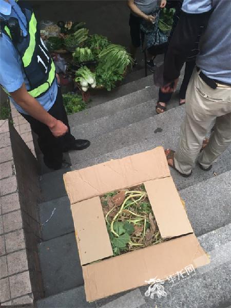 陌生男子留给热心摩托车司机王某的一箱菜叶。沙坪坝警方供图 华龙网发