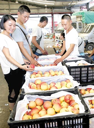 双福水果市场,来自陕西的苹果销售火爆。