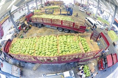 我市最大的“果篮子”——双福水果市场交易火爆。