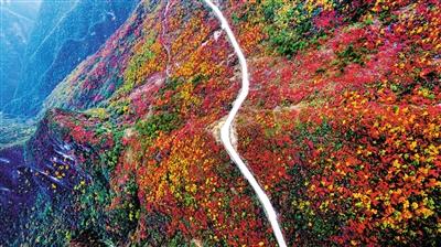 巫溪兰英大峡谷挂壁公路串起满山红叶,犹如仙境。(资料图片)
