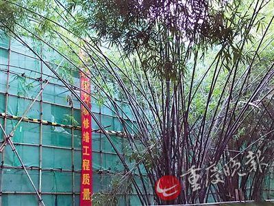 枇杷山公园修缮现场