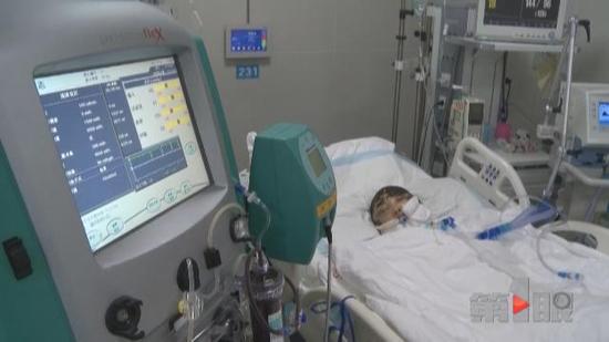 重庆美女惨遭马蜂围攻 病情危重命悬一线