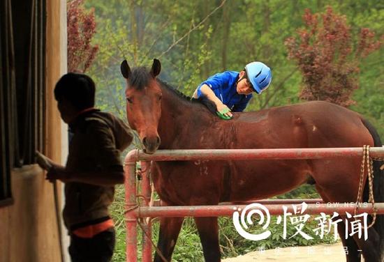 1ddd8d42bd47fe9032fdcaca873f7f50.jpg 罗云飞为自己的坐骑洗澡