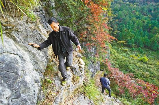 11月8日,兰英村,村民行走在宽不过40厘米的青口岭崖壁“毛毛路”上。