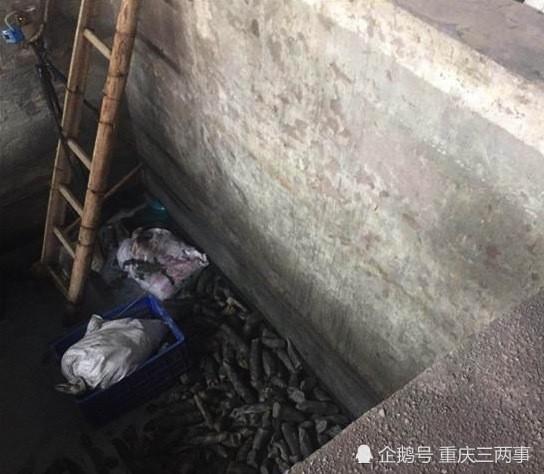 △事发的菜池。本组图由黄金华 提供