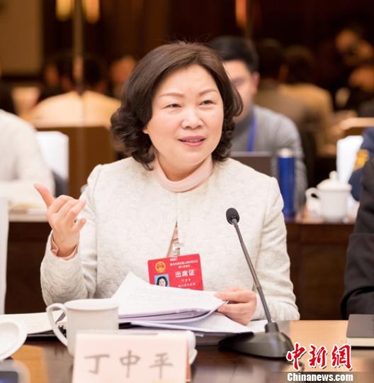 重庆市第五届人民代表大会第二次会议南川代表团上,南川区委书记丁中平审议政府工作报告。 夏于洪 摄