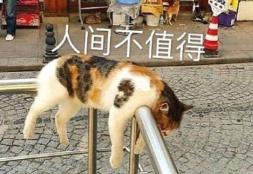 真的有五月病吗?