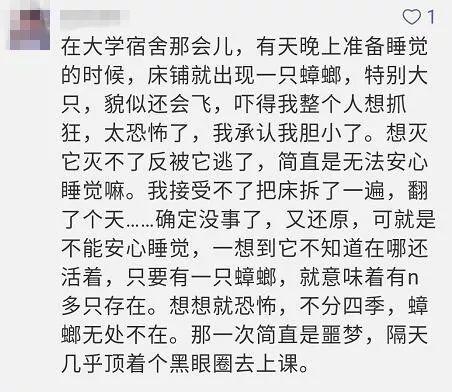 蟑螂曲谱_蟑螂幼虫(3)