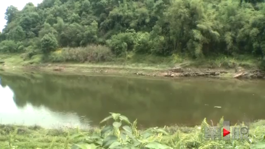 悲剧!重庆两名小学生水库游泳 不幸溺水身亡(图