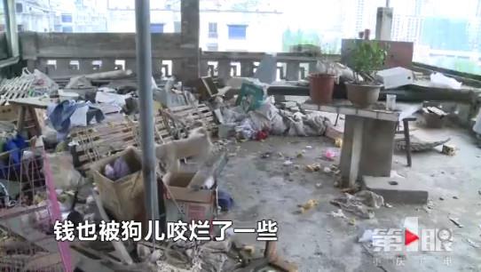 (第1眼-重庆广电特约记者 唐杰)