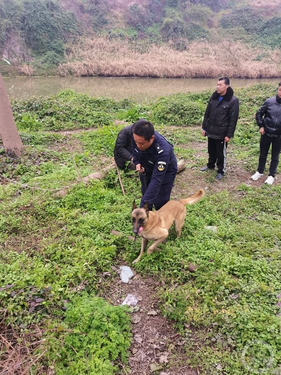 “可盐可甜”又“可靠”！带你解锁警犬“汪汪队”新技能