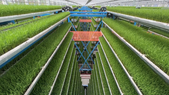 重庆永川：科技赋能农业生产