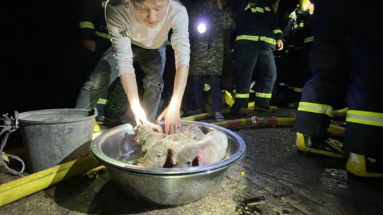 民房失火 消防员火场中救出小猪