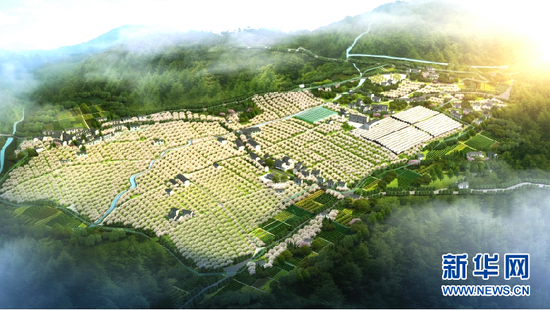 茶山村生态休闲农业示范园效果图。新华网发(茶山村提供)