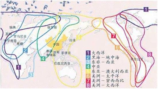 e94d8449bd8f6955e997cc55caff8783.jpg △鸟类迁移路径。
