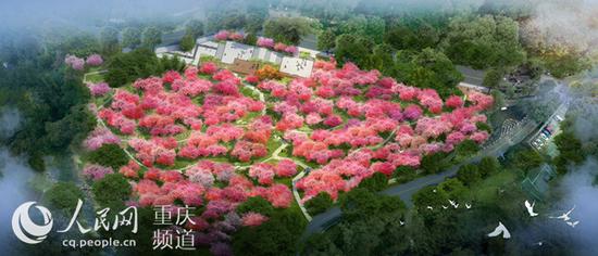红梅林效果图。重庆市沙坪坝区住房和城乡建设委员会供图