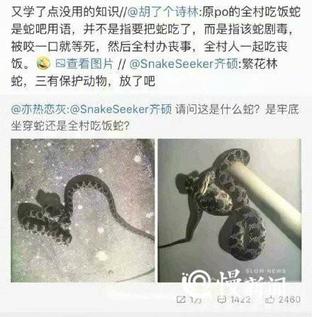 “全村吃饭蛇”的微博