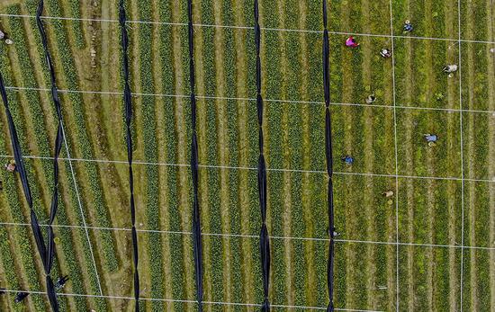 帣ŴͲԻڣشڽгҵ225㣬˻Ƭ»  