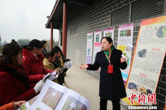 图为相关工作人员下到乡村社区作宣传。 杨永权 摄
