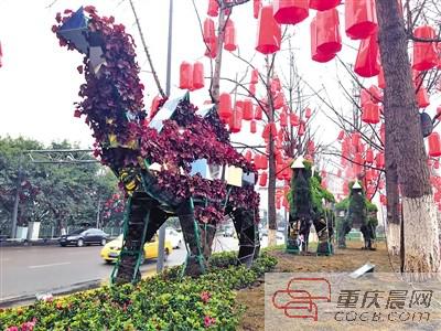 北滨路上的创意绿雕——“骆驼”。