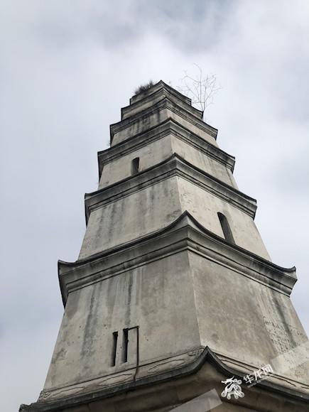 一抬头,七级楼阁式的文峰塔挺拔高大、古朴雄浑。首席记者 黄军 摄