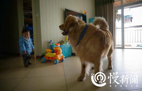 “八万”在家陪“弟弟”