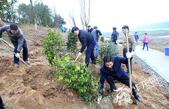 本次植树约40亩。记者 李文科 摄