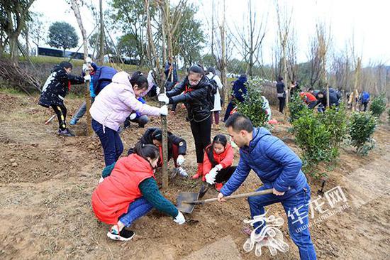 义务植树示范活动点共计有500余人参与植树。记者 李文科 摄