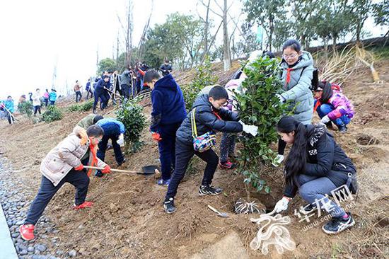 来自南岸区5所学校的学生参与了义务植树活动。记者 李文科 摄