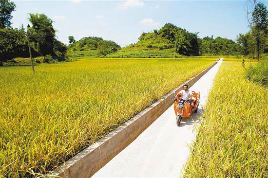 近年来,大足区龙石镇大力建设乡村便民步道,平整的水泥路面代替了以前泥泞的田坎小路。 马多 摄