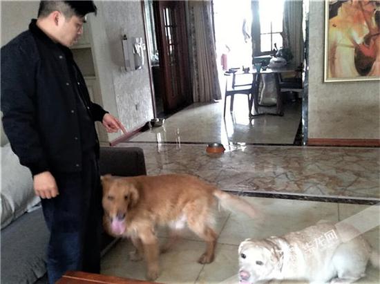 肖警官与他的两只爱犬。沙坪坝警方供图 华龙网发